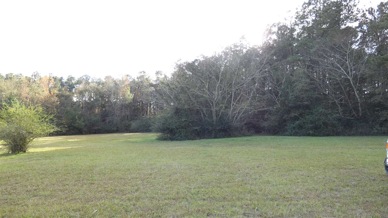 2263 Casa Bianca Road Monticello, FL 32344 - Photo 10 of 20 Gallery Image 10