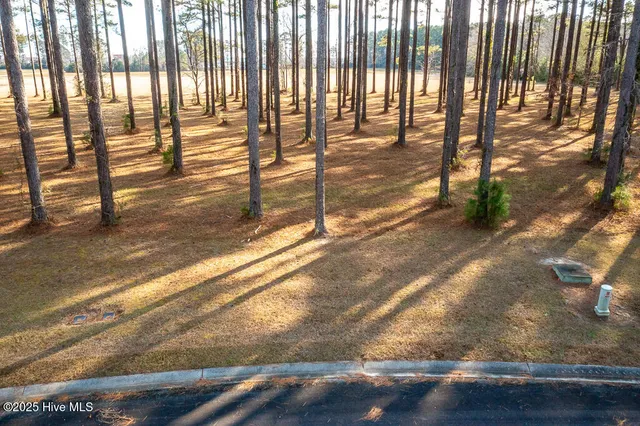 $9,999 | 167 Frying Pan Loop, Arapahoe, NC 28510