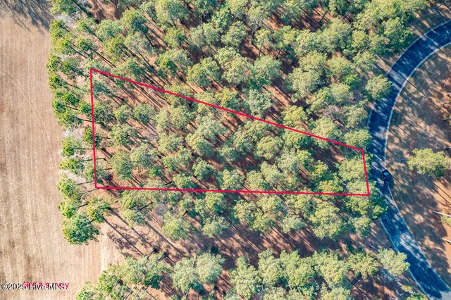 $9,999 | 167 Frying Pan Loop, Arapahoe, NC 28510