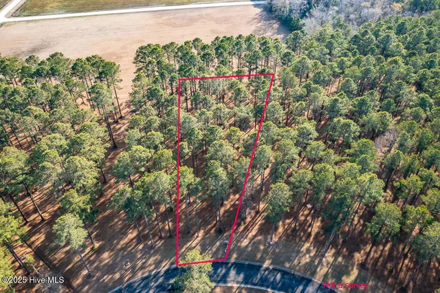 $9,999 | 167 Frying Pan Loop, Arapahoe, NC 28510