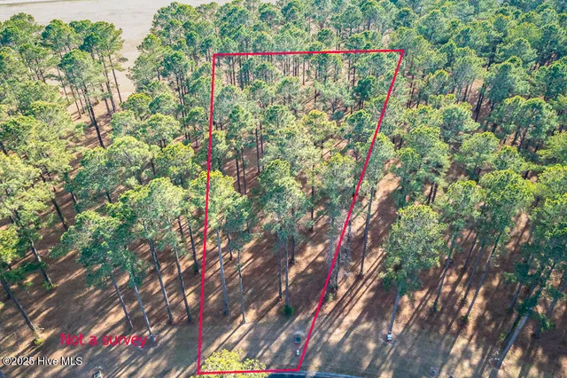 $9,999 | 167 Frying Pan Loop, Arapahoe, NC 28510