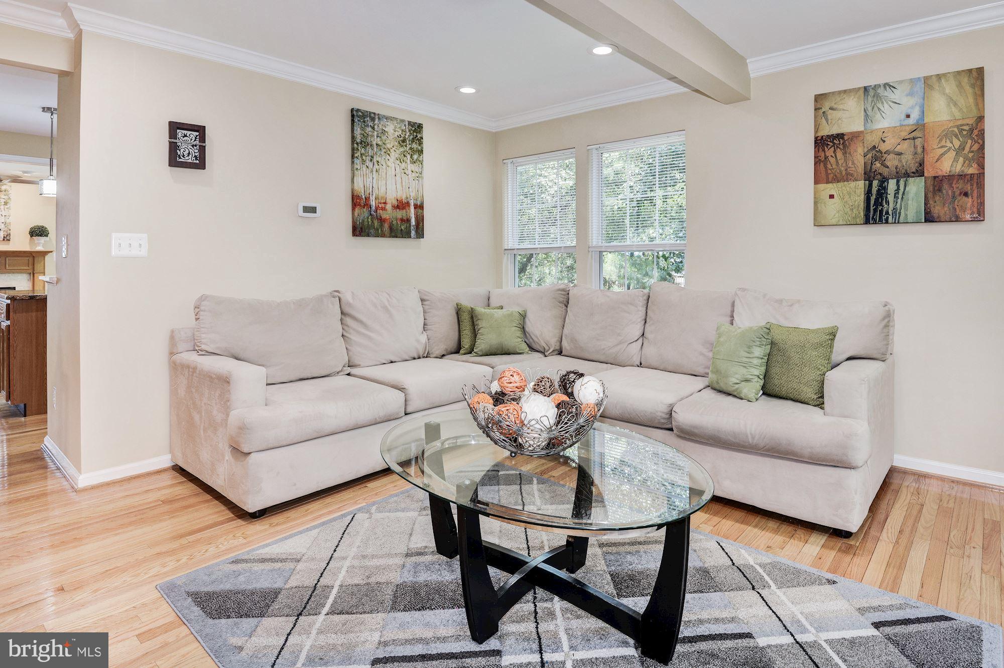 23017 Potomac Hill Square Sterling, VA 20166 - Photo 7 of 32 Living Room