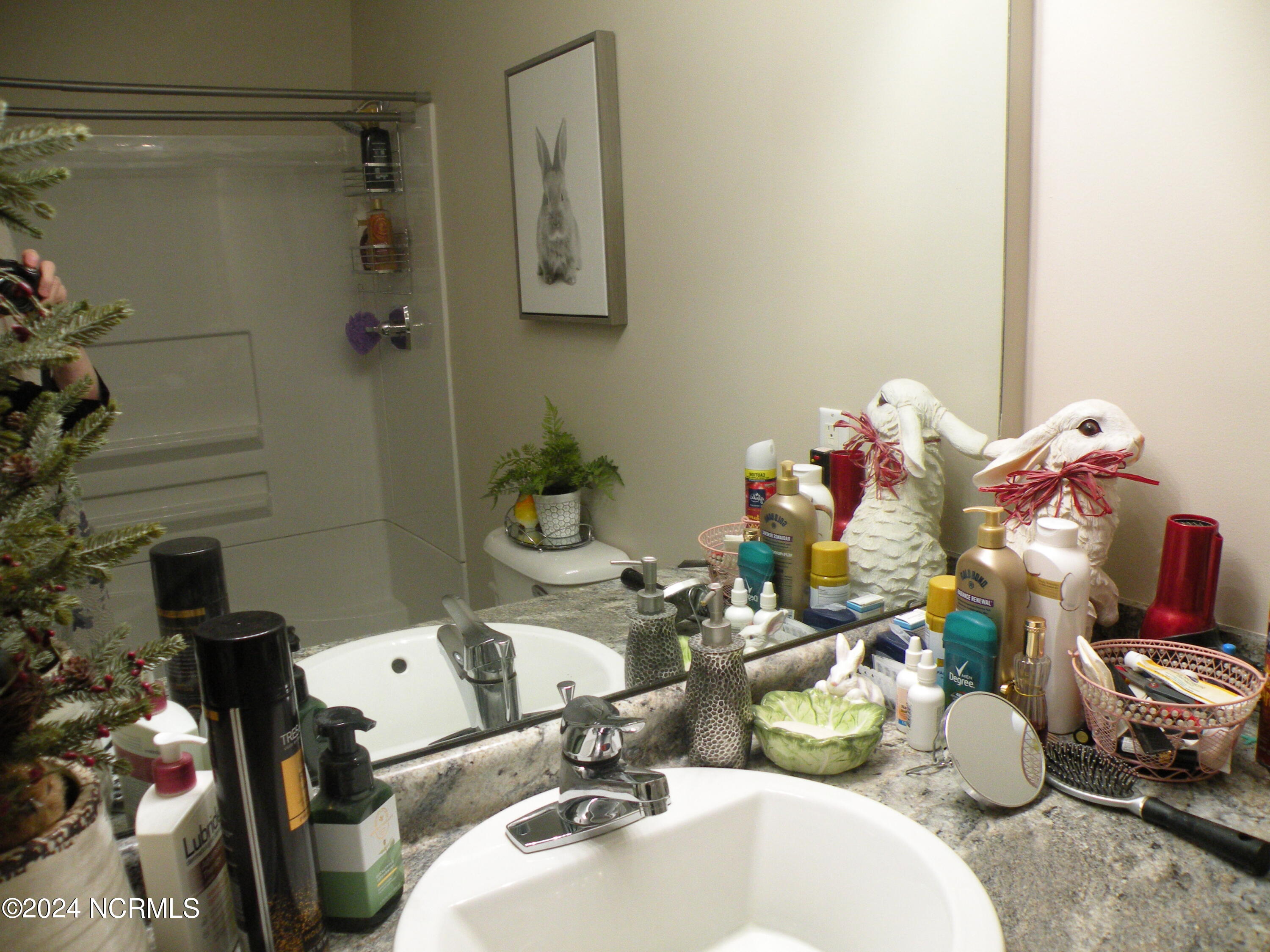 451 Tarheel Road Lumberton, NC 28358 - Photo 17 of 28 DSCN0512