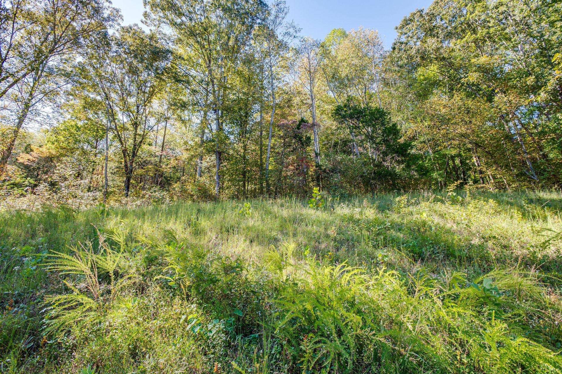1145 Leach Road Cumberland Furnace, TN 37051 - Photo 23 of 36 Gallery Image 23