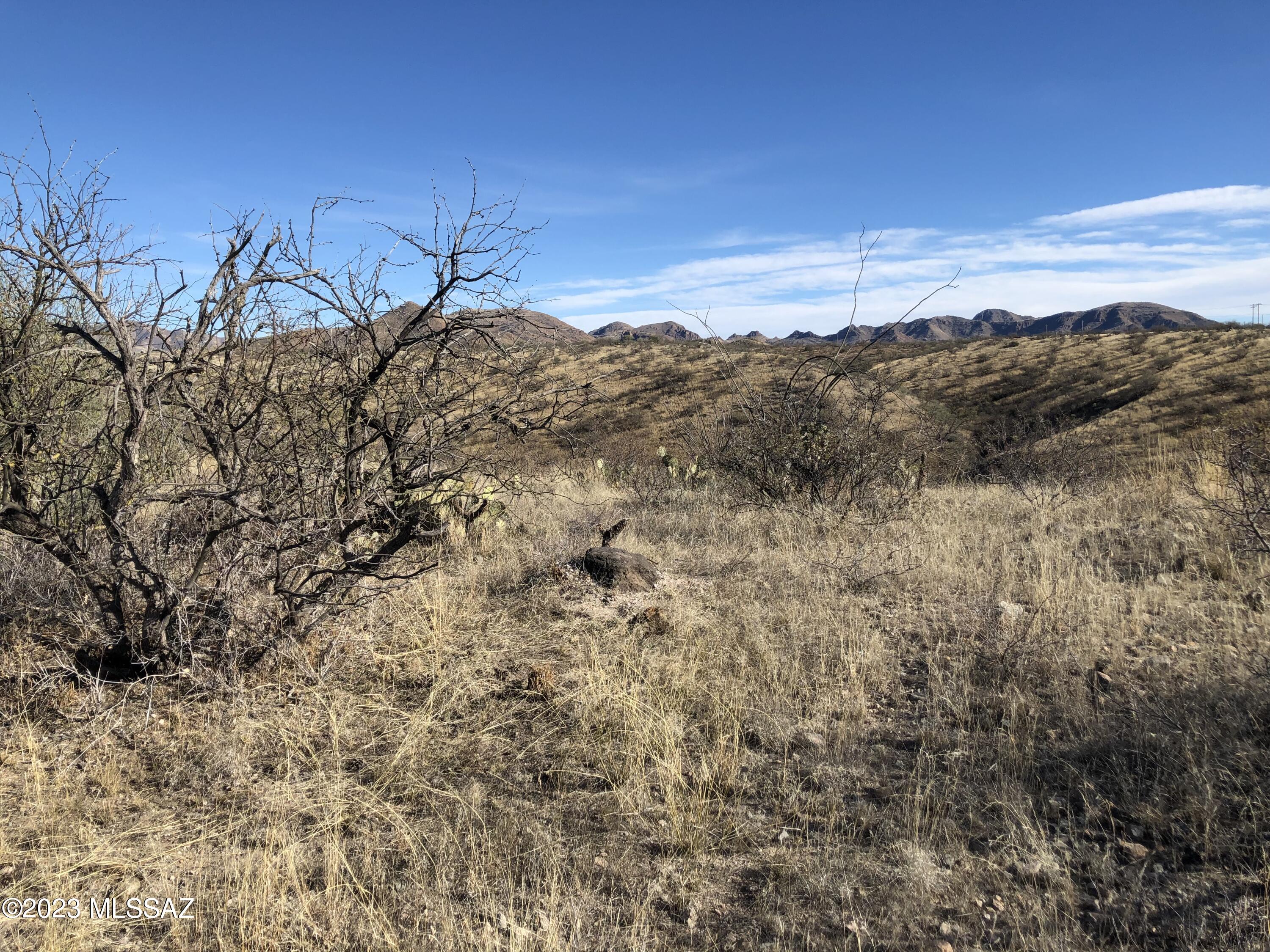 415 Pelicano Ct., Unit 7172 Rio Rico, AZ 85648 - Photo 1 of 21