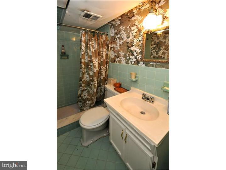 1097 Squirrel Road Jenkintown, PA 19046 - Photo 17 of 20 Bathroom