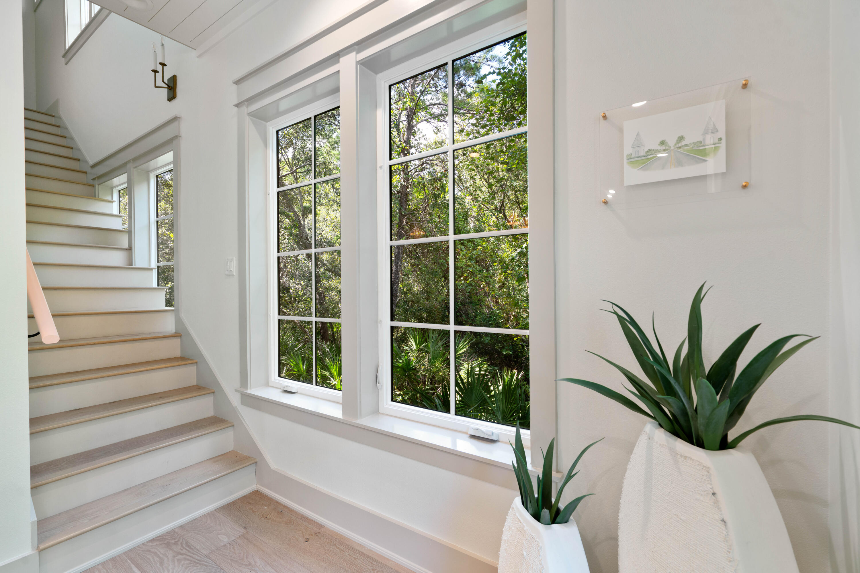 275 Clareon Dr Inlet Beach Inlet Beach, FL 32461 - Photo 31 of 76 a view of potted plant in front of a window