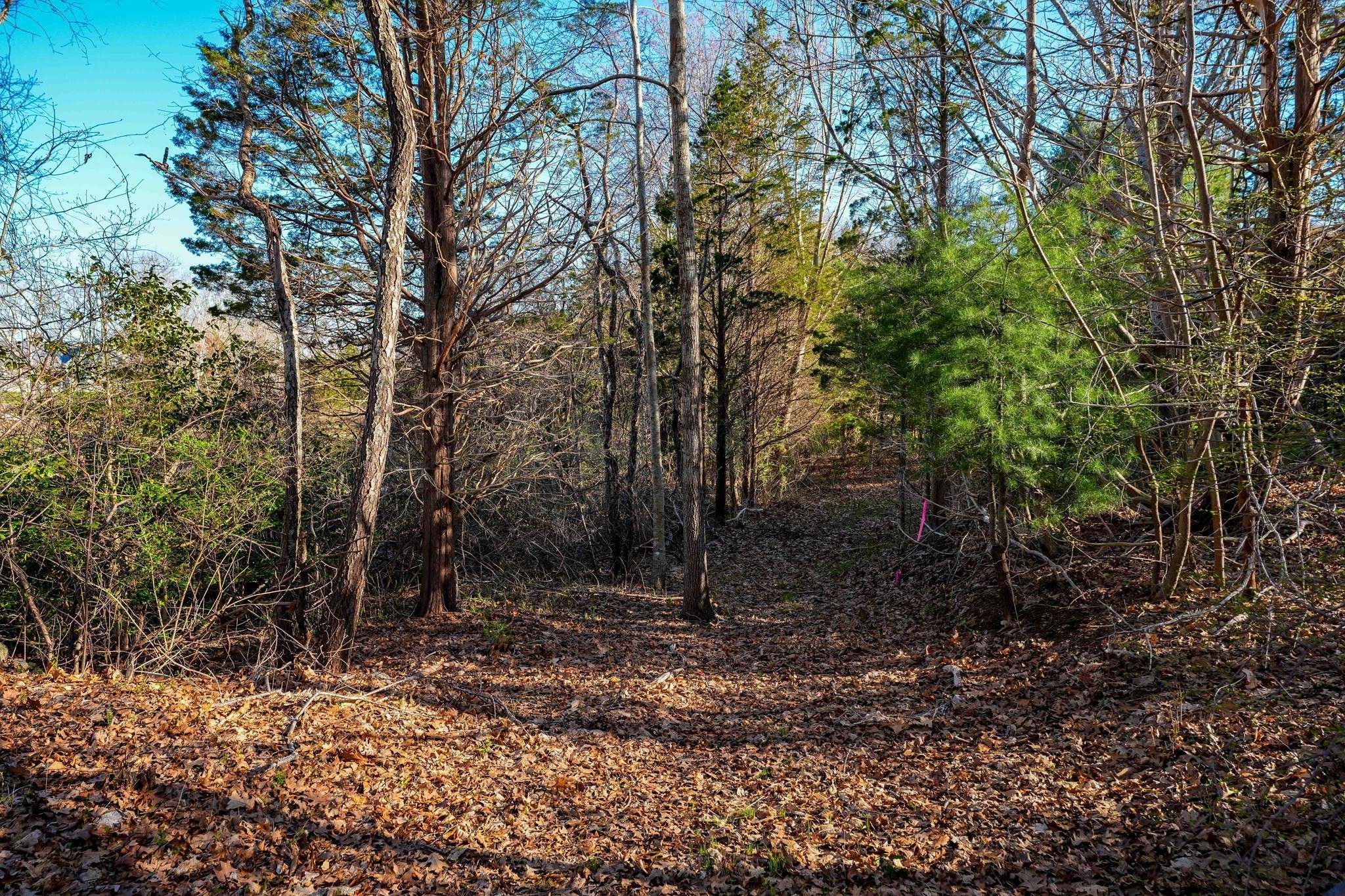 44 Old Harbor Road Westport, MA 02790 - Photo 12 of 26 Gallery Image 12