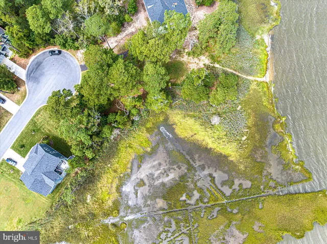 a view of bathtub in a garden