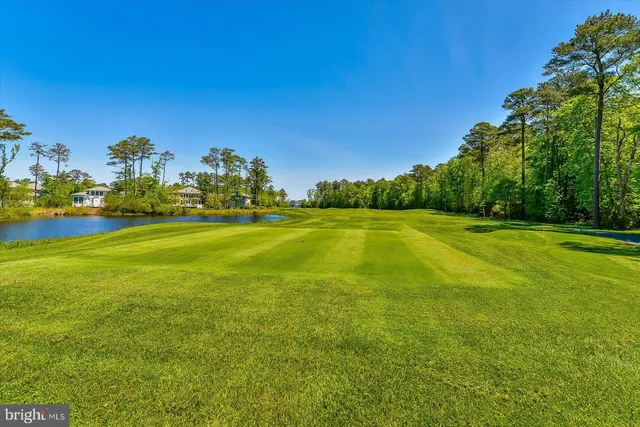 a view of a yard with a house in the background