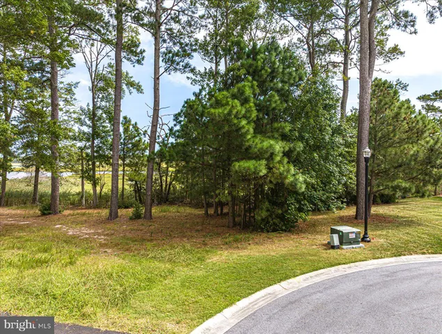 a backyard of a house with a fountain and a large tree