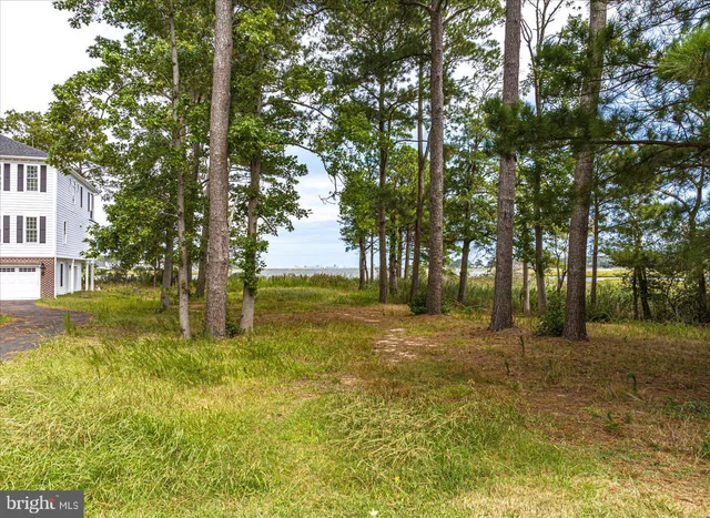 a view of a yard with a tree