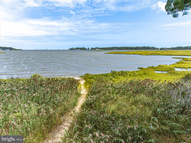 a view of an ocean and beach
