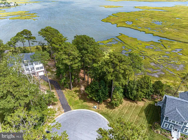 a view of a yard with an outdoor space