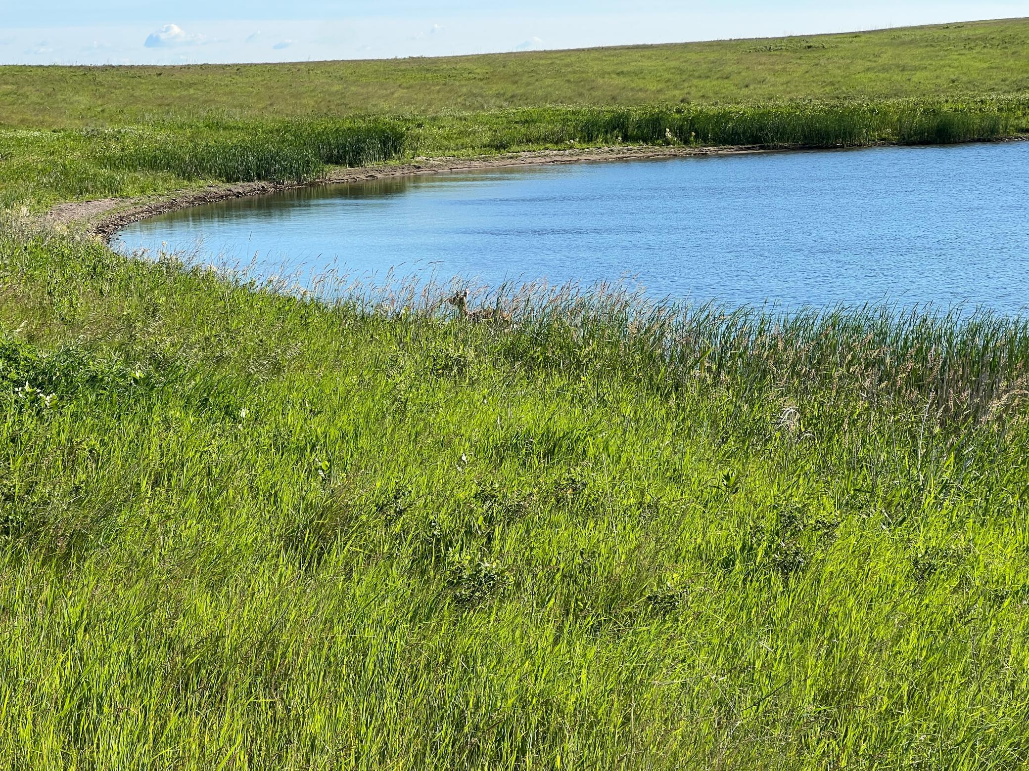 Tbd Southeast Tbd Se 90th Street Rutland, ND 58067 - Photo 33 of 105