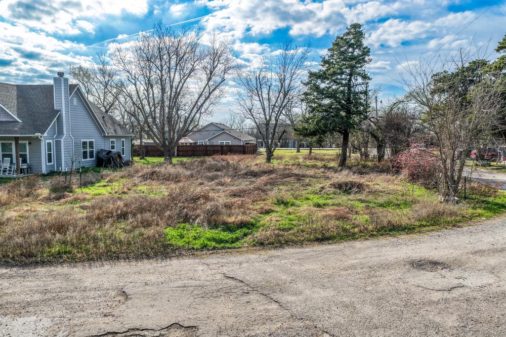 215 North 4th Street Celeste, TX 75423 - Photo 19 of 20 a view of a yard with a tree