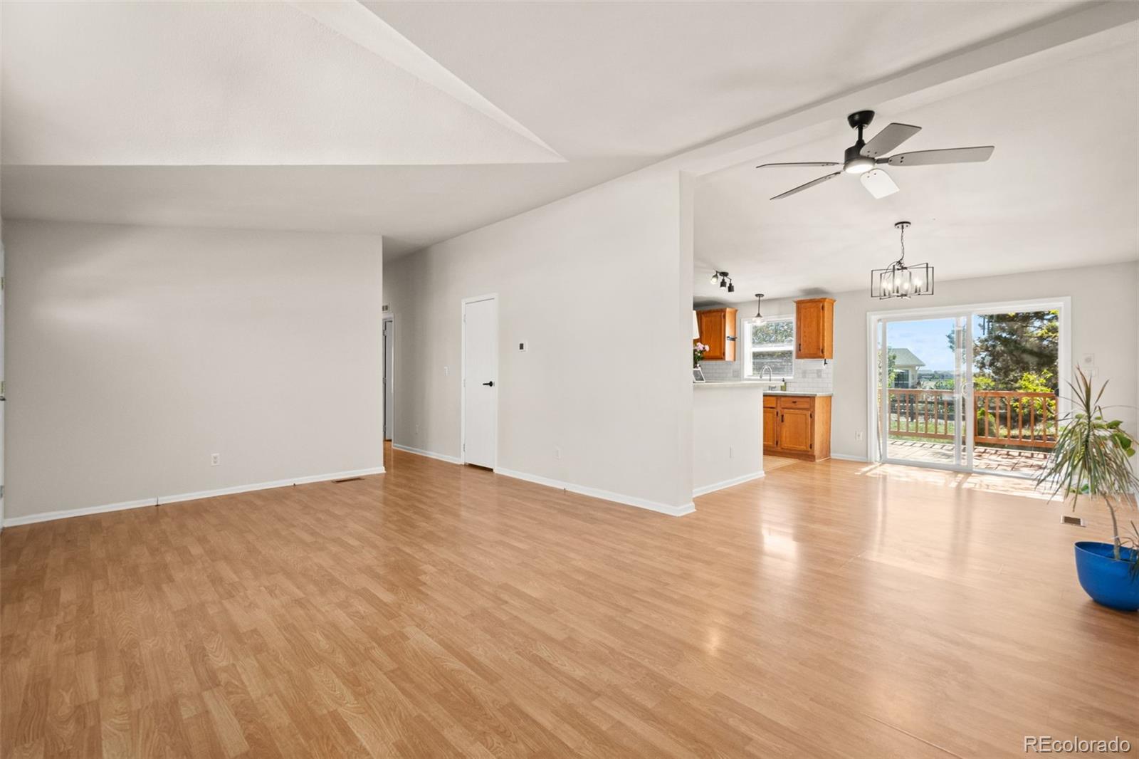 7641 Marmot Point Colorado Springs, CO 80922 - Photo 6 of 36