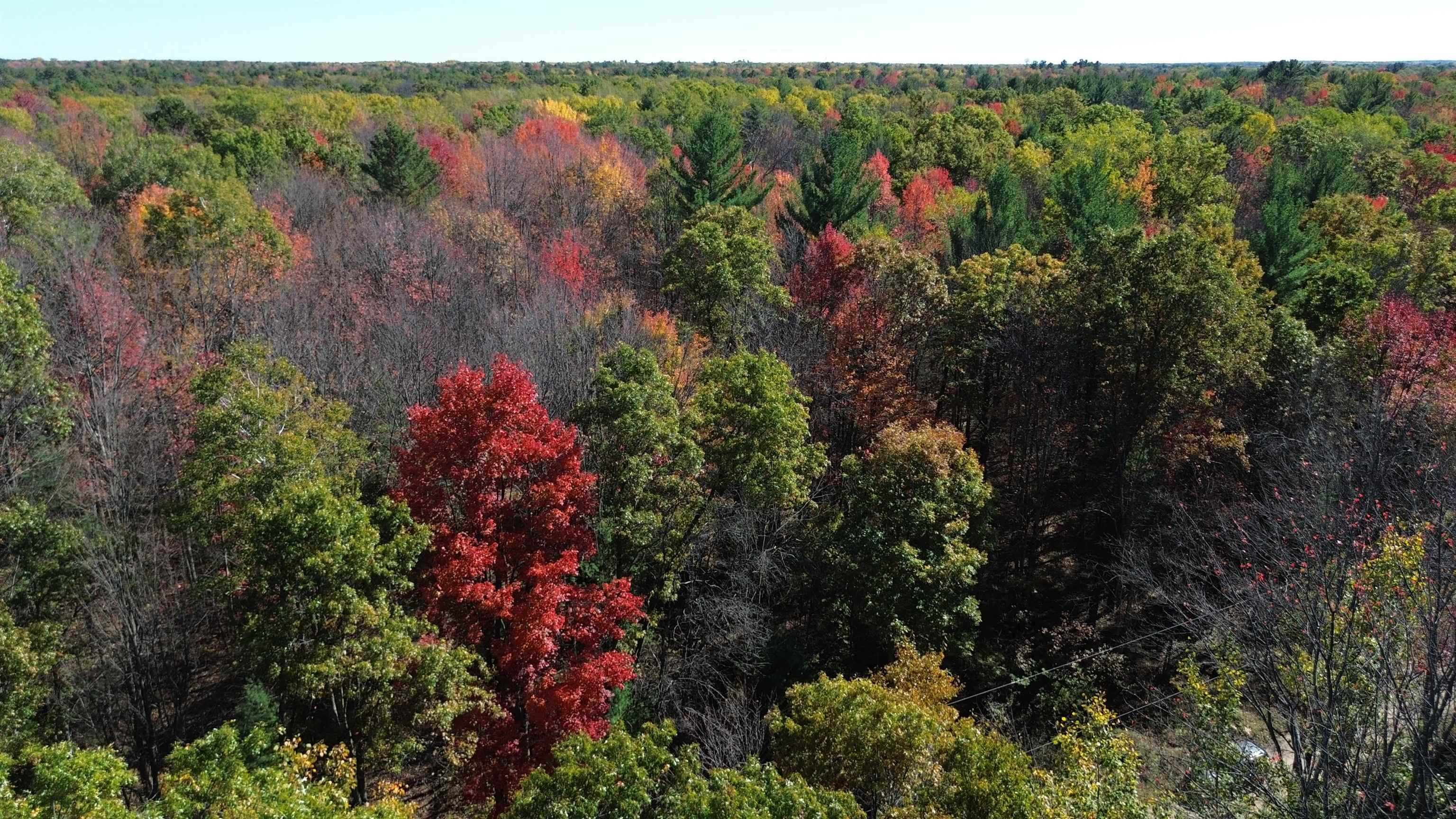 0 Timber Trail Prescott, MI 48756 - Photo 3 of 44
