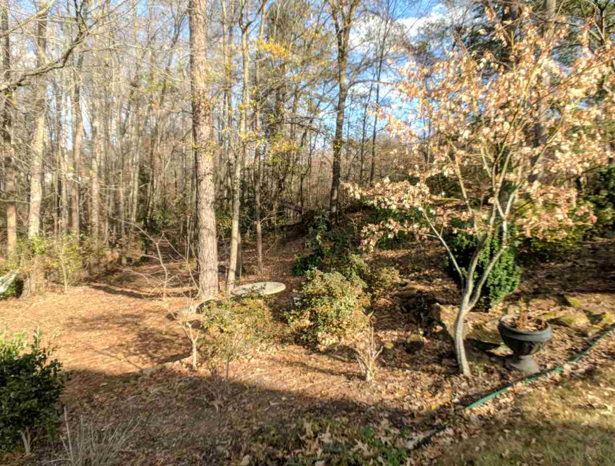 135 Walkers Bluff Road Boiling Springs, SC 29316 - Photo 30 of 36 Gallery Image 30