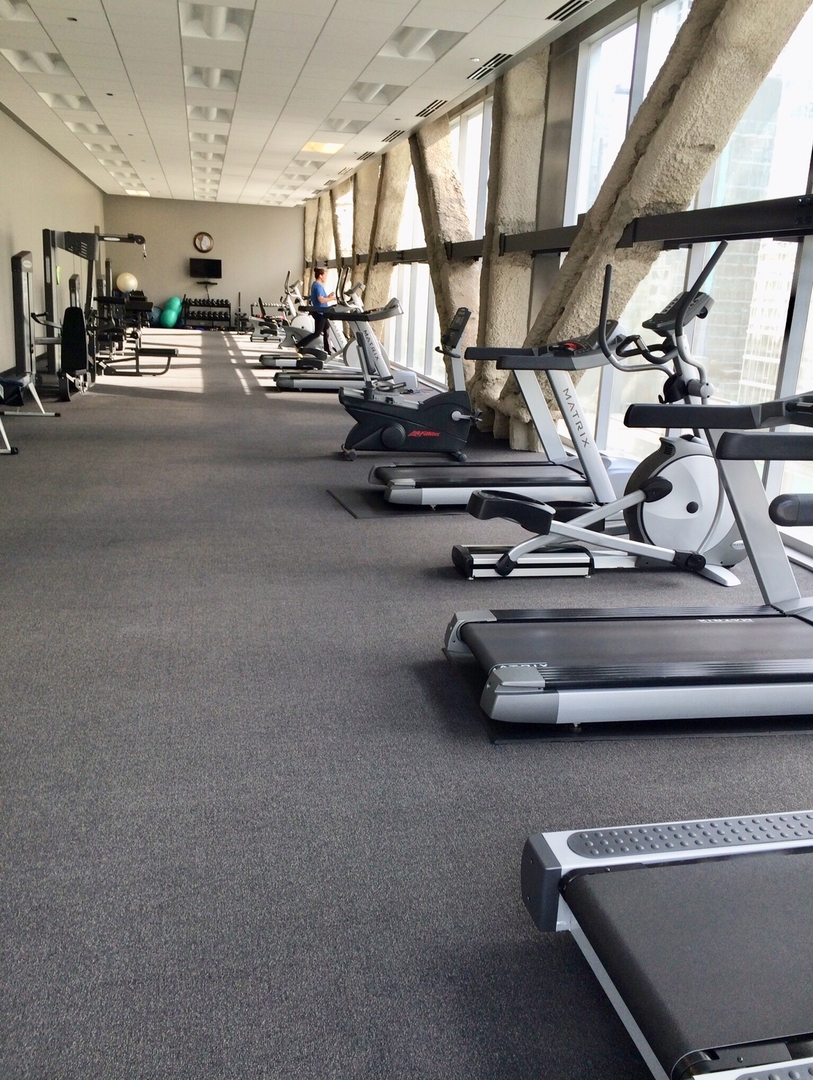 8 East Randolph Street, Unit 1002 Chicago, IL 60601 - Photo 17 of 23 a view of gym