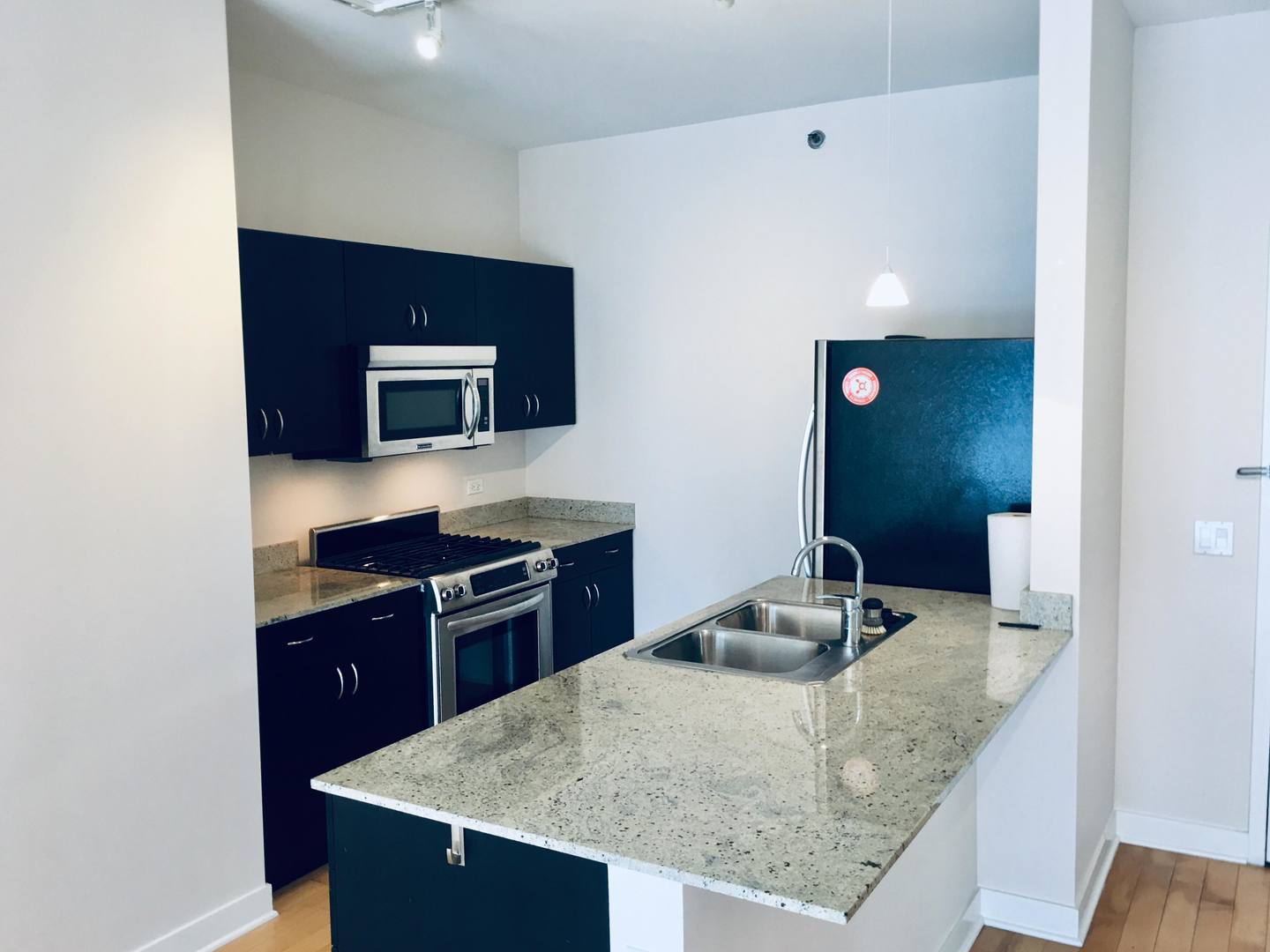 8 East Randolph Street, Unit 1002 Chicago, IL 60601 - Photo 5 of 23 a kitchen with a granite countertop sink and cabinets