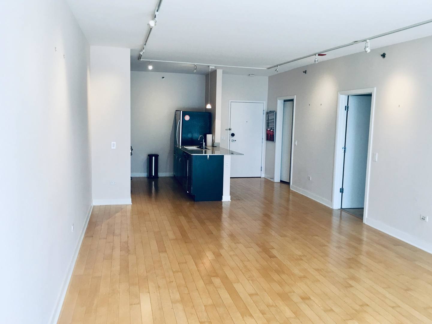 8 East Randolph Street, Unit 1002 Chicago, IL 60601 - Photo 6 of 23 a view of a livingroom with kitchen and furniture