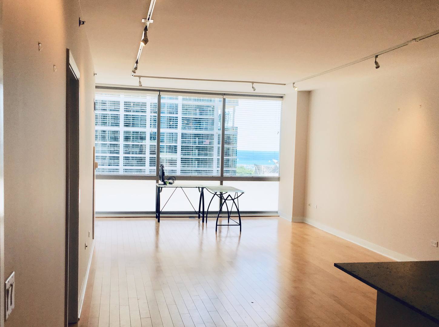 8 East Randolph Street, Unit 1002 Chicago, IL 60601 - Photo 8 of 23 a view of empty room with wooden floor and fan