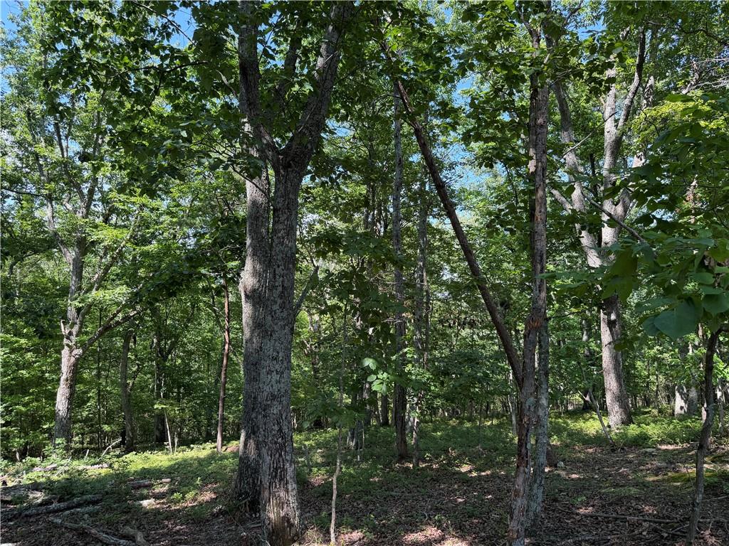 587 East Valley Road Northeast Rydal, GA 30171 - Photo 7 of 33