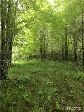 800 Obrien Road Mayville, MI 48744 - Photo 19 of 21 1.jpg