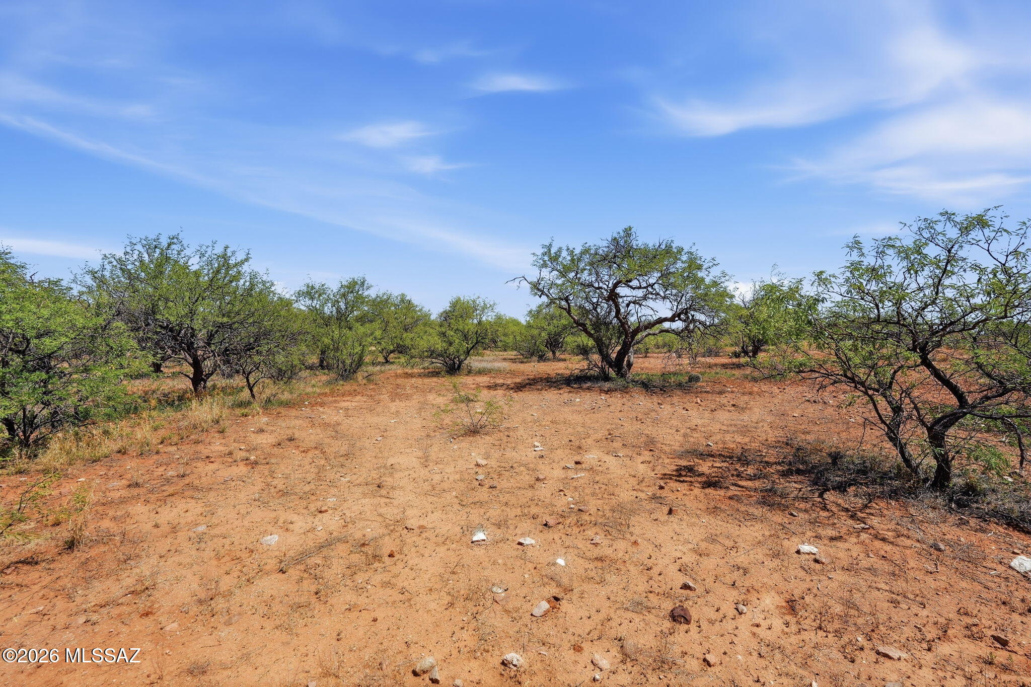 16315 West Ili Teka Road Arivaca, AZ 85601 - Photo 7 of 44 Enjoy the nature