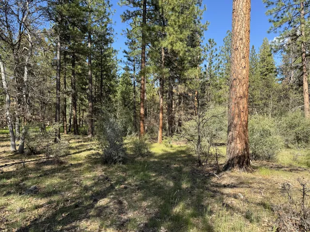 a view of outdoor space with green space