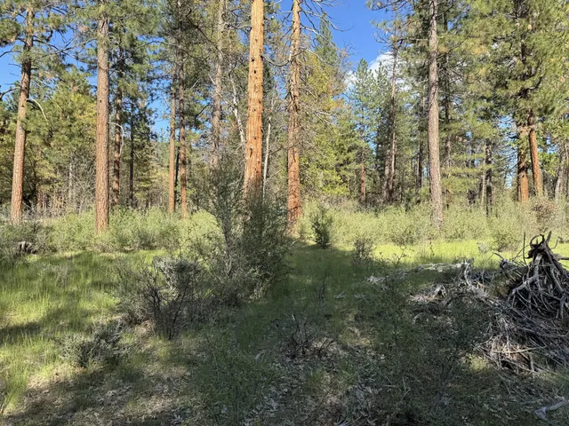 a view of outdoor space and a yard