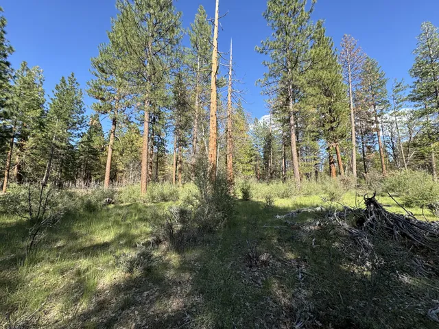 a view of outdoor space and garden