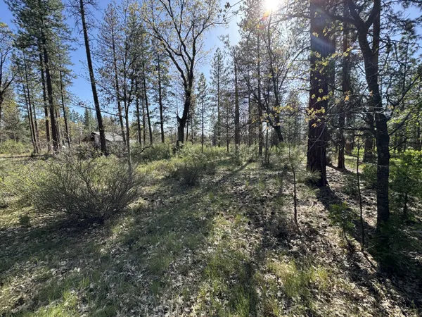 a big yard with lots of green space and house