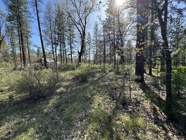 a big yard with lots of green space and house