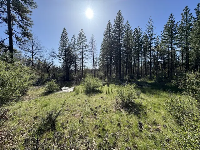 a backyard of a house with lots of green space