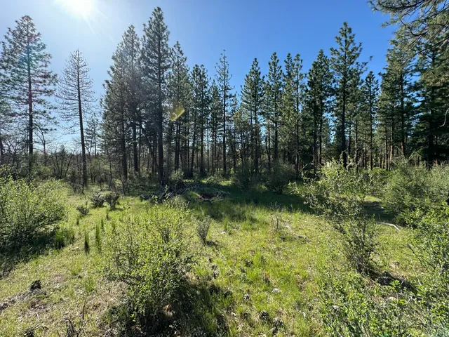 a view of backyard with green space