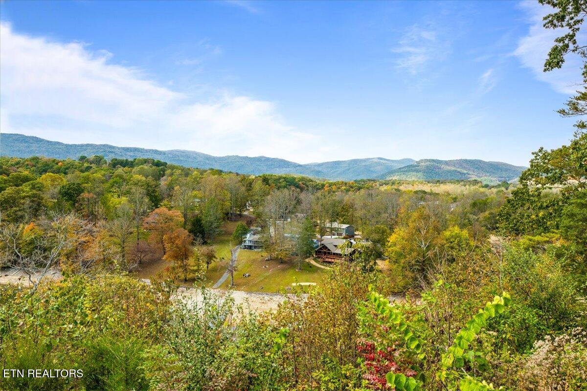 262 Bluff Trace Jacksboro, TN 37757 - Photo 27 of 50 07-Bluff Trace