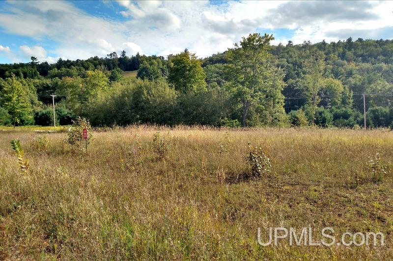 Tbd Ski View Road, Unit 19 & 20 Vulcan, MI 49892 - Photo 1 of 2