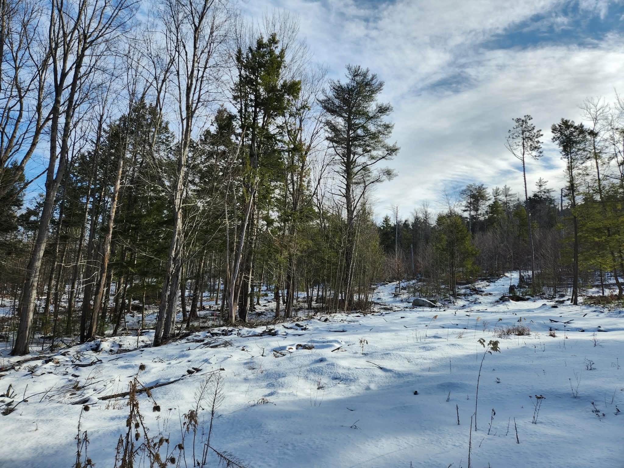 0 Munsey Road, Unit 123106 Gilmanton, NH 03237 - Photo 1 of 30 Gallery Image 1