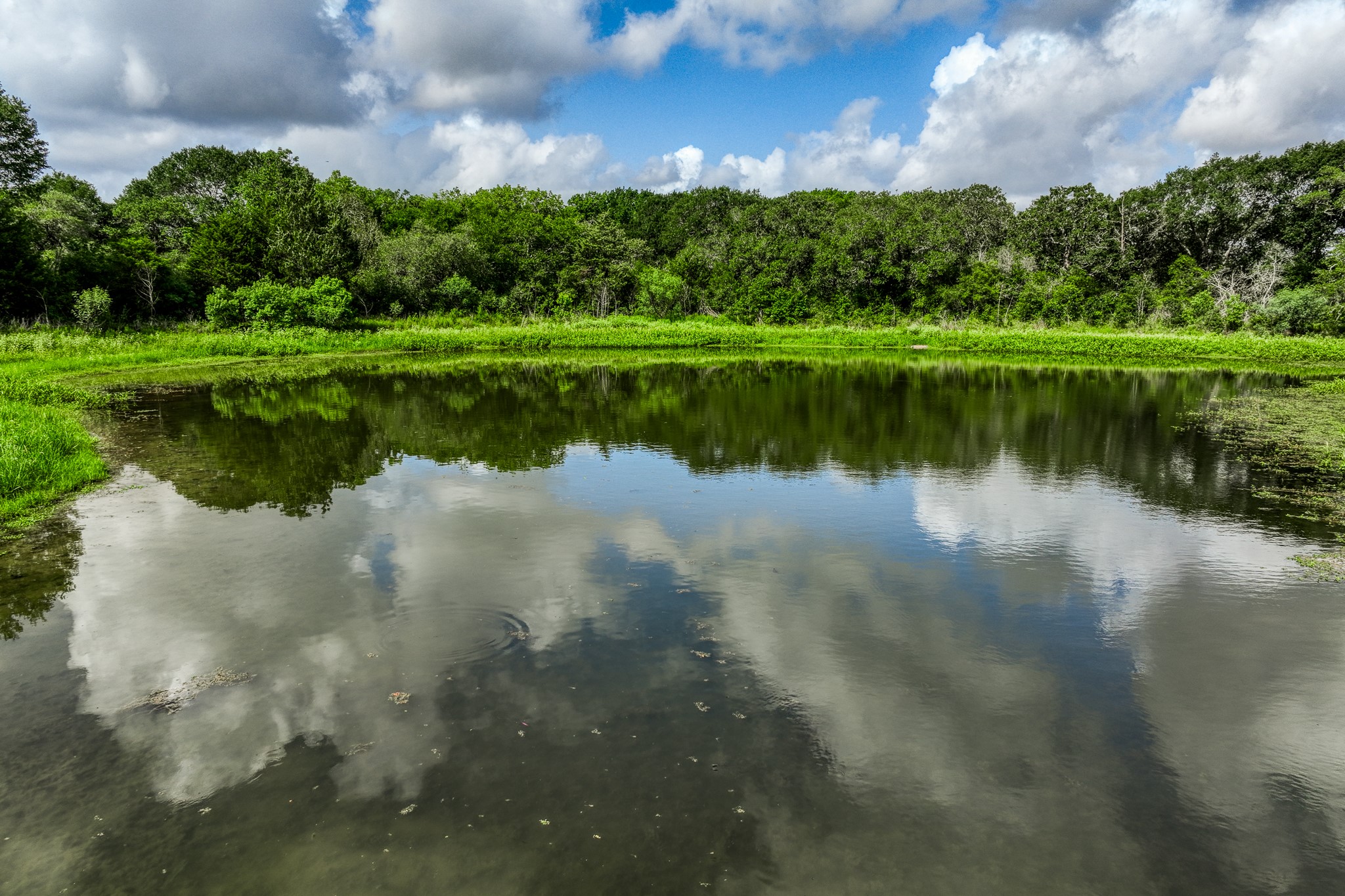 2 South Nassau Road Round Top, TX 78954 - Photo 2 of 11 a view of a lake with a yard