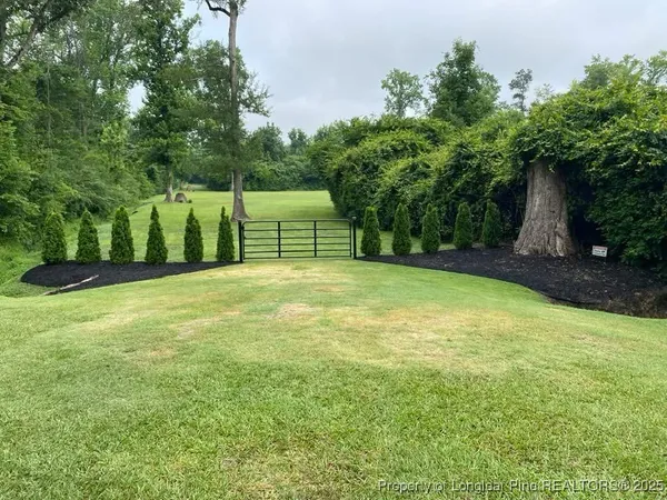 a view of a garden with a bench