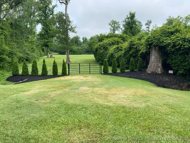 a view of a garden with a bench