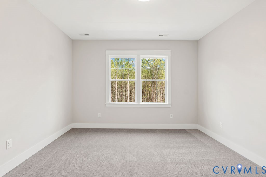 13177 Old Telegraph Road Providence Forge, VA 23140 - Photo 29 of 42 Gallery Image 29