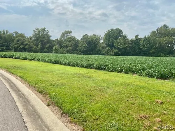$38,000 | 0 Timber Creek Road, Dexter, MO 63841