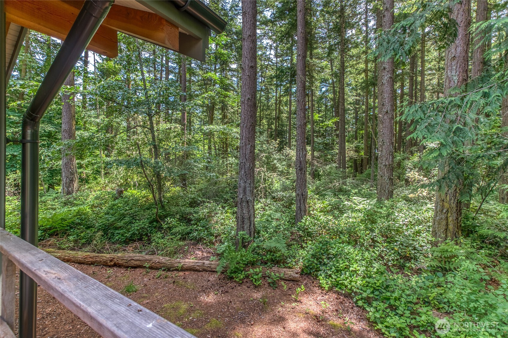 31 Colgan Creek Road Orcas Island, WA 98245 - Photo 34 of 40
