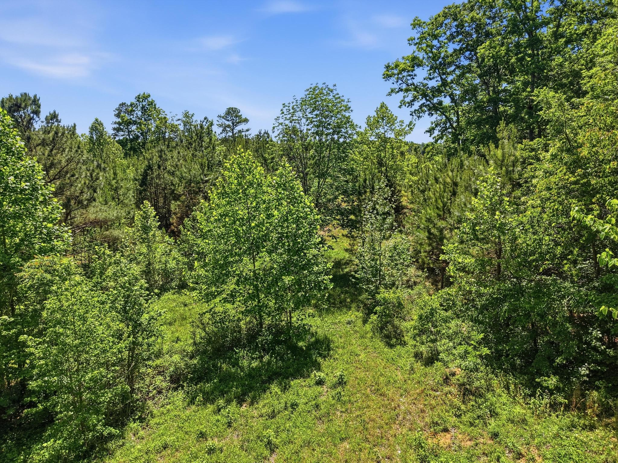 6 Falling Water Road Cookeville, TN 38506 - Photo 10 of 10