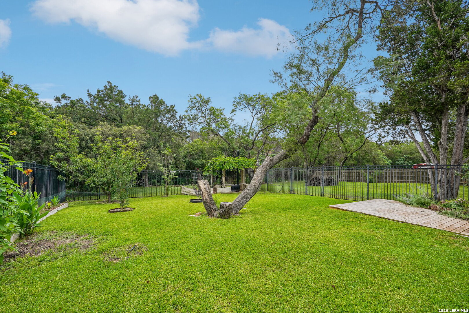 20632 Timber Rose Drive Garden Ridge, TX 78266 - Photo 41 of 46 a view of a park with large trees