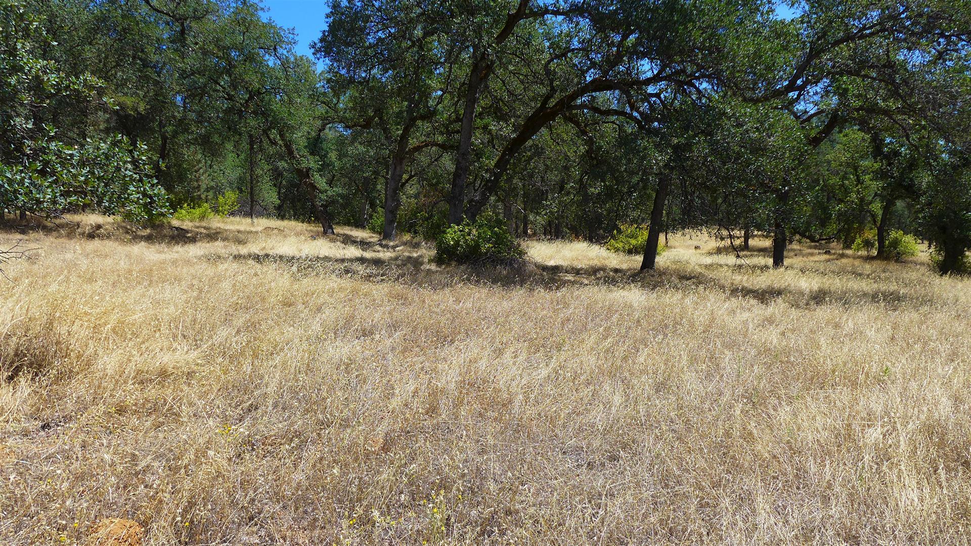 30-acres Aloha Road Bella Vista, CA 96008 - Photo 14 of 21 P1070811