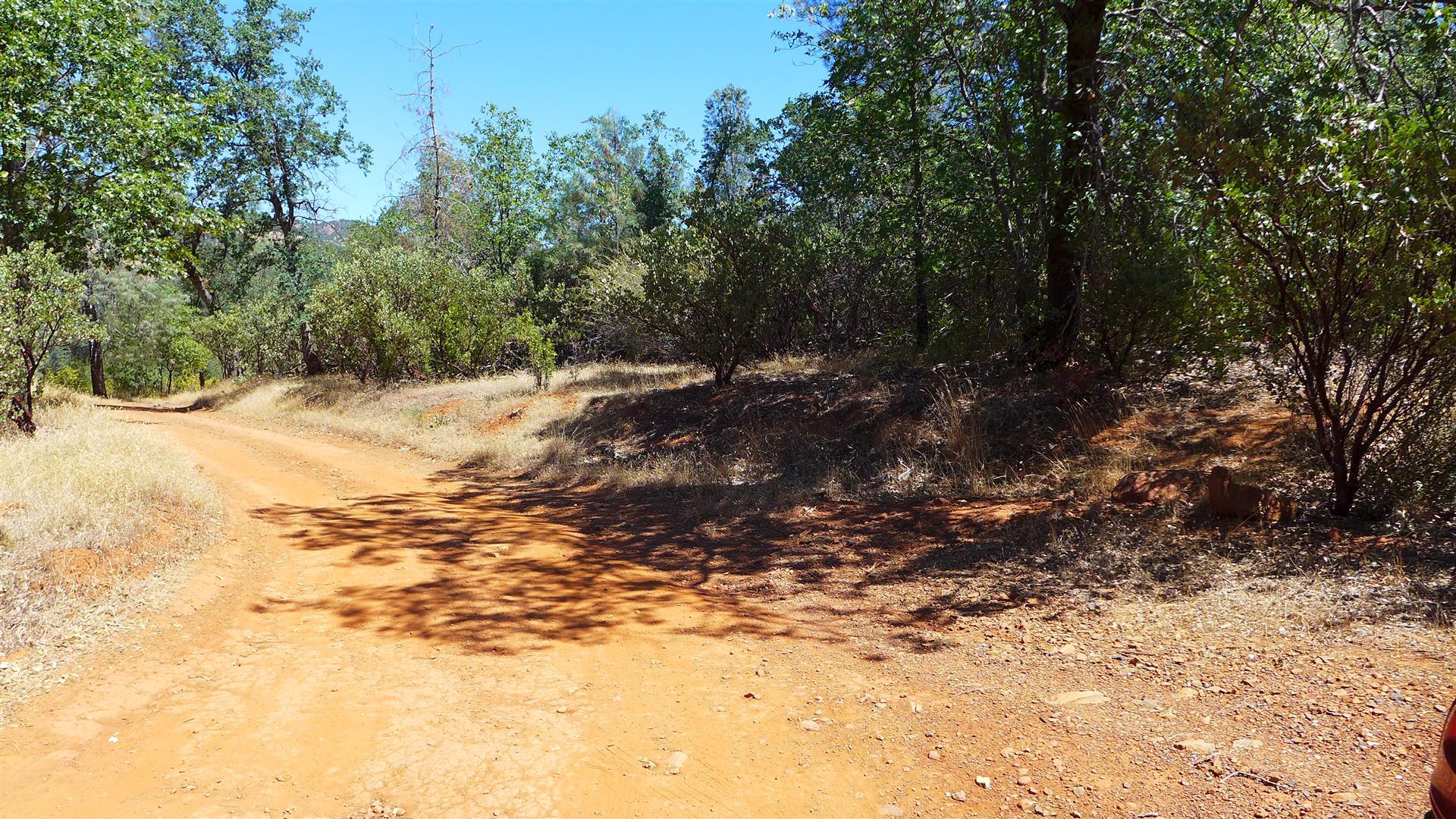 30-acres Aloha Road Bella Vista, CA 96008 - Photo 6 of 21 P1070802